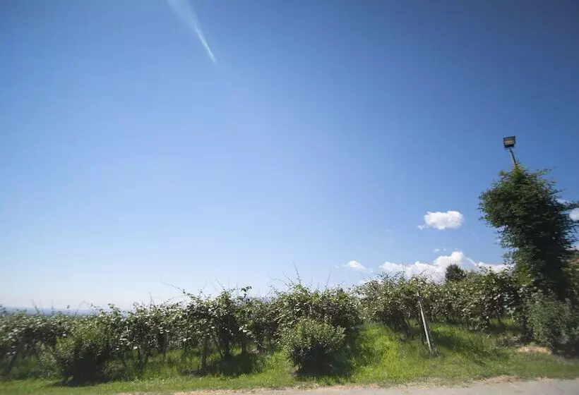 Maaseutuhotelli Agriturismo Turina