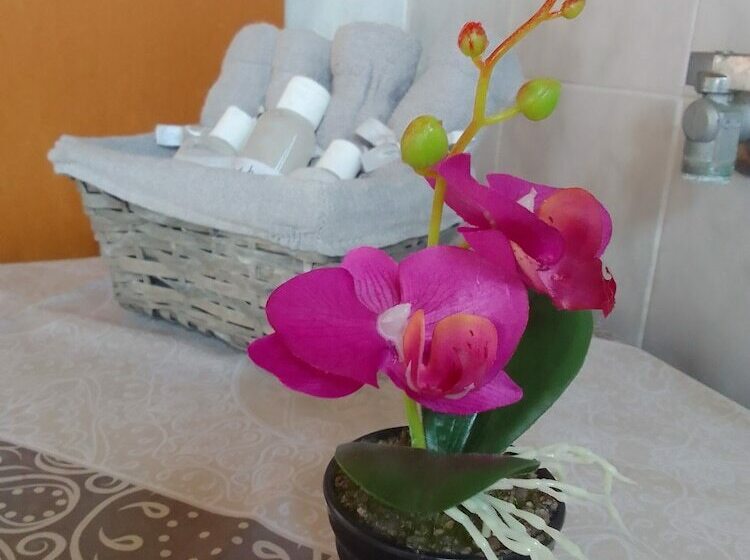 Hotel Rural Apartment Of Pirgi Thermis