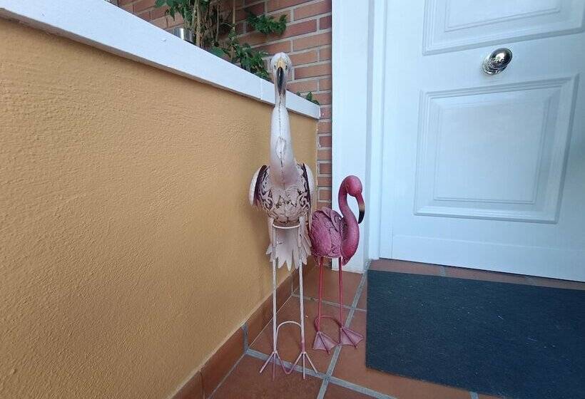 פנסיון Acogedora Y Familiar Casa En L Olleria