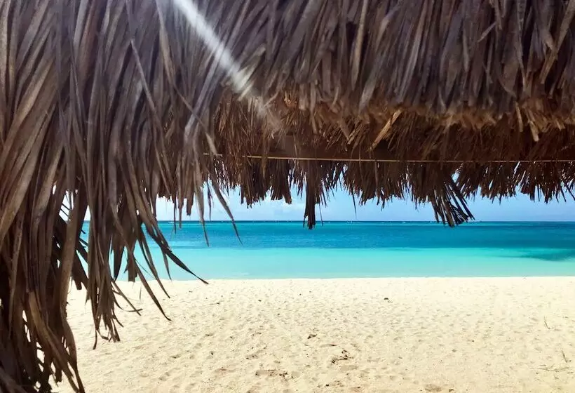 Aruba Stop Vacation Rentals