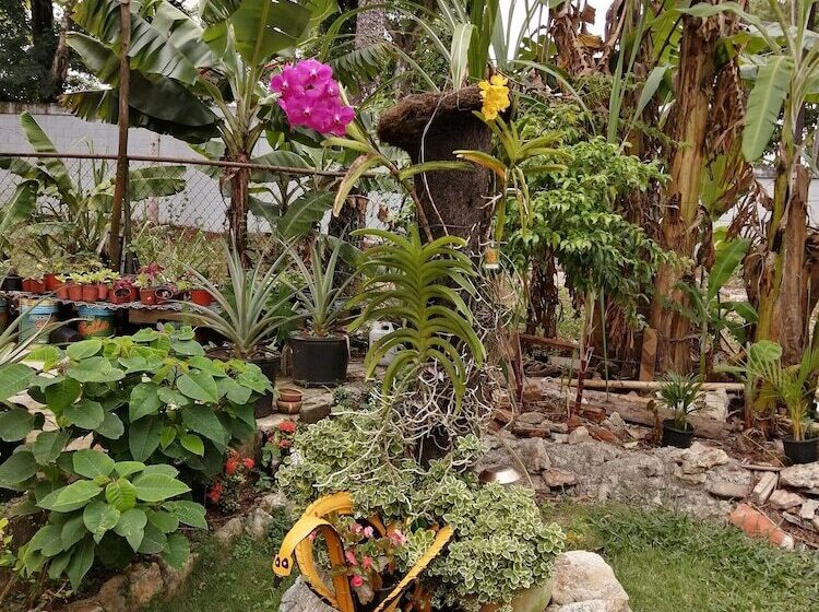 تختخواب و صبحانه El Cachimbo De Mama