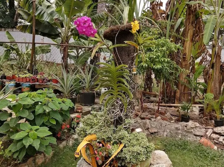 تختخواب و صبحانه El Cachimbo De Mama