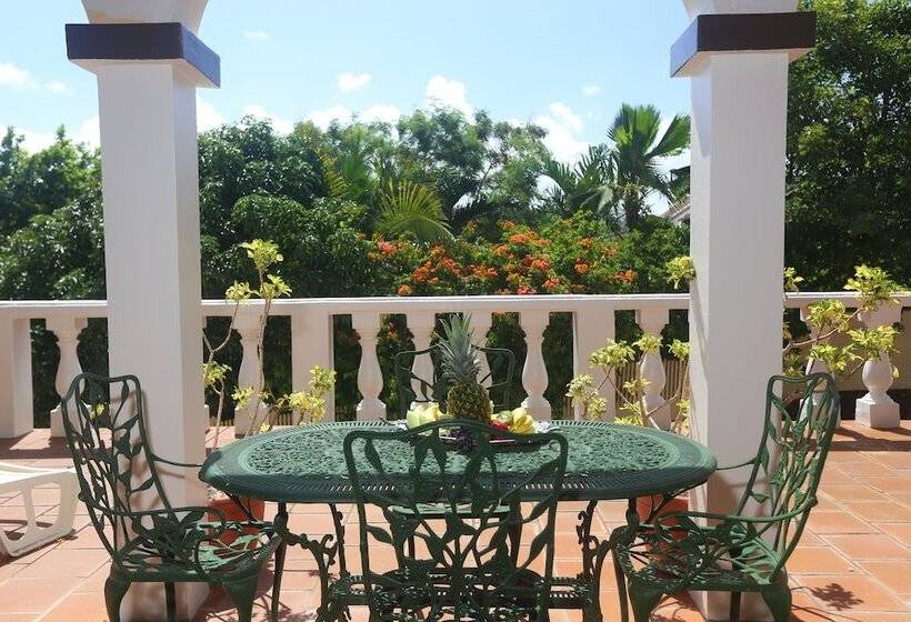 تختخواب و صبحانه Ocean View Boutique Guesthouse