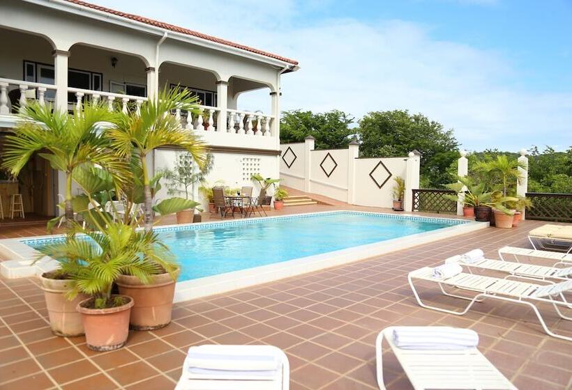 تختخواب و صبحانه Ocean View Boutique Guesthouse