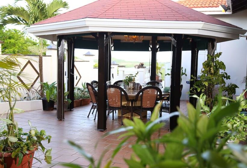 تختخواب و صبحانه Ocean View Boutique Guesthouse