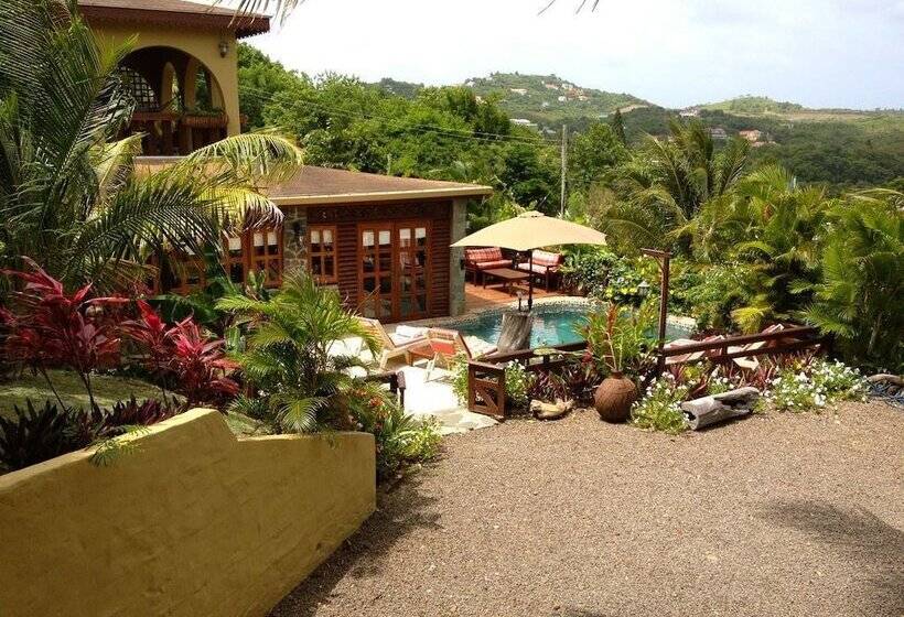 هتل Los Tropicos All Inclusive