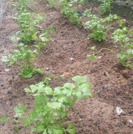 Hotel Pousada E Hostel Da Marli