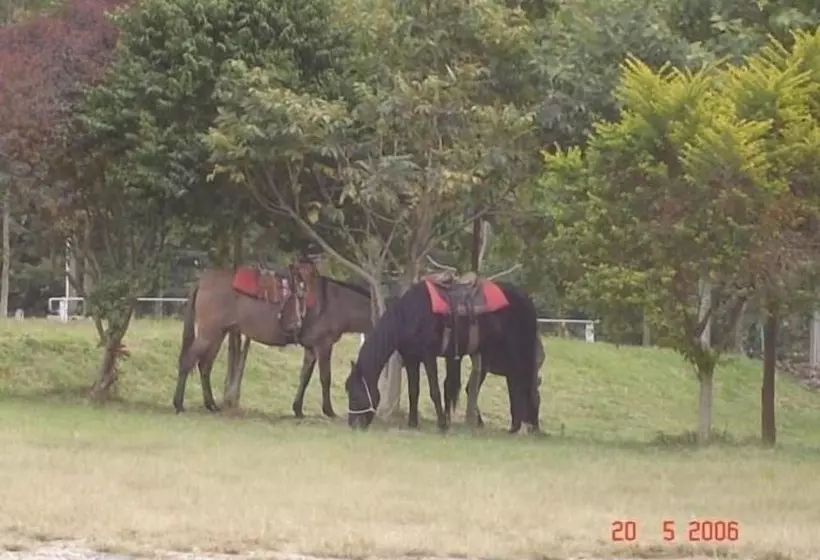 ホテル Pousada Sitio Bom Fim