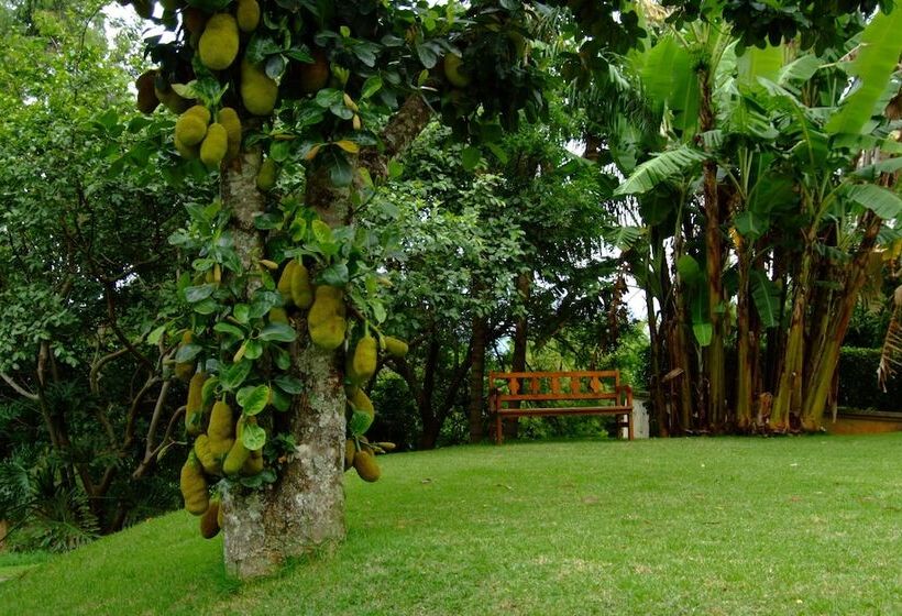 Сельский отель Recanto Da Paz Hotel Fazenda