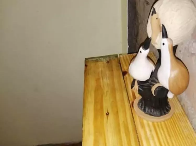 ペンション Zakaed Home