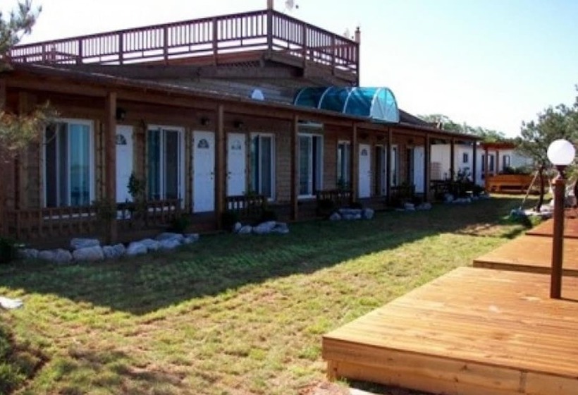 Daebudo Seattle Pension