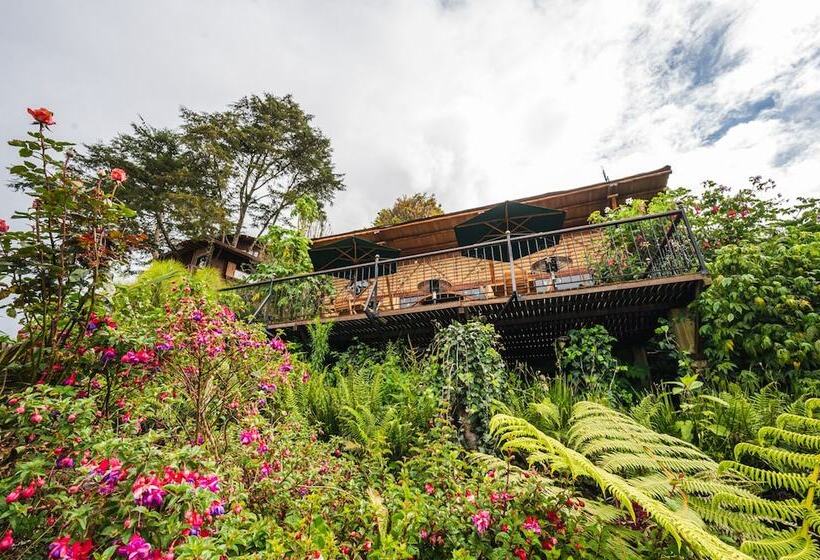 Hotel La Gloria Reserva Forestal