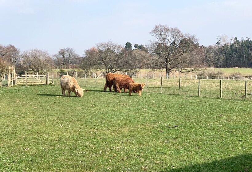 호텔 Orchard House Lodges By Ecohuman
