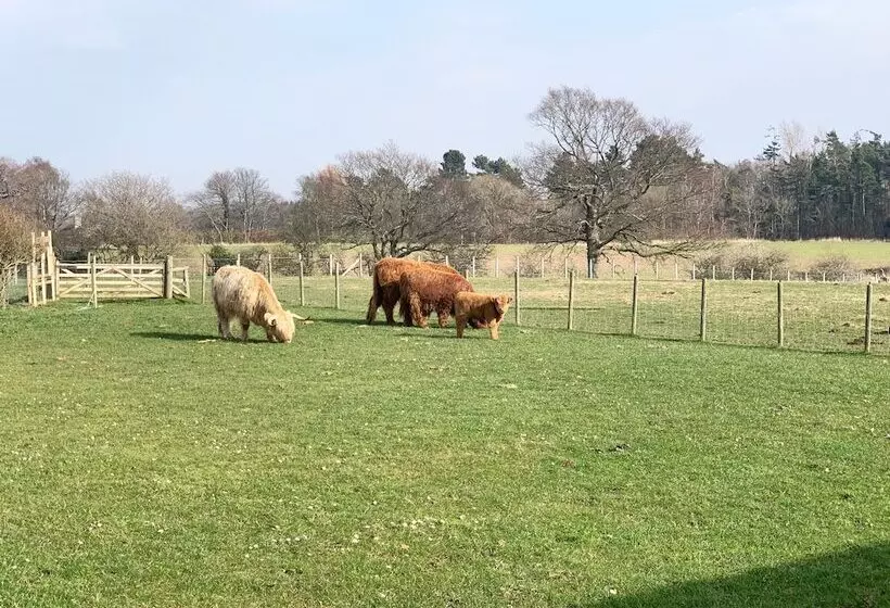 Hotelli Orchard House Lodges By Ecohuman