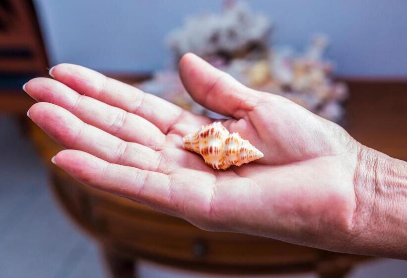 پانسیون Le Manglier