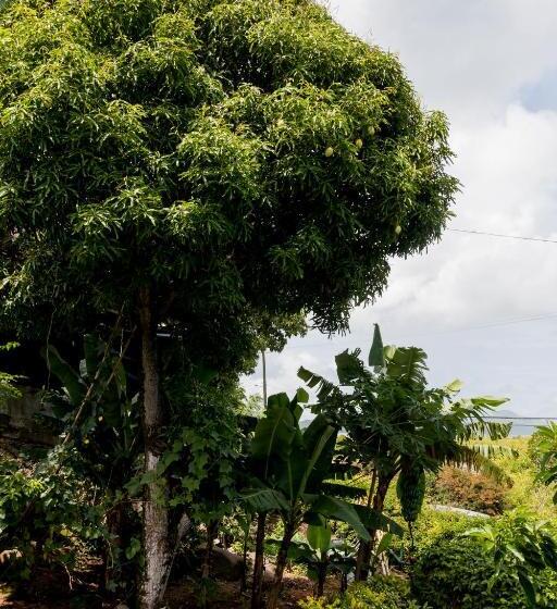 پانسیون Le Manglier