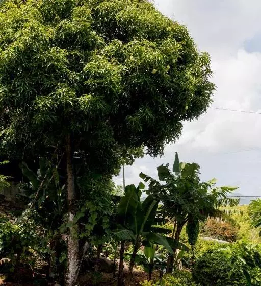 ペンション Le Manglier