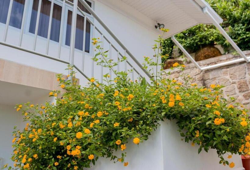 پانسیون Le Manglier