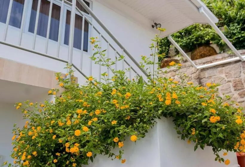 ペンション Le Manglier