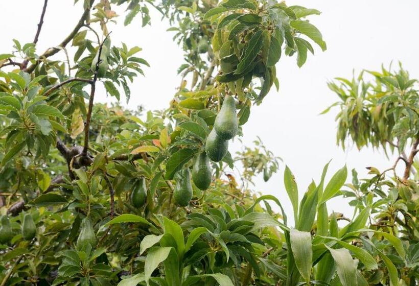 پانسیون Le Manglier