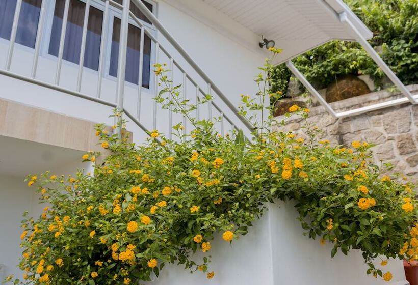 پانسیون Le Manglier