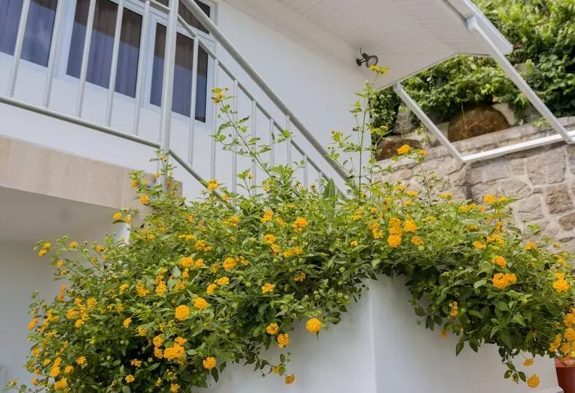 ペンション Le Manglier