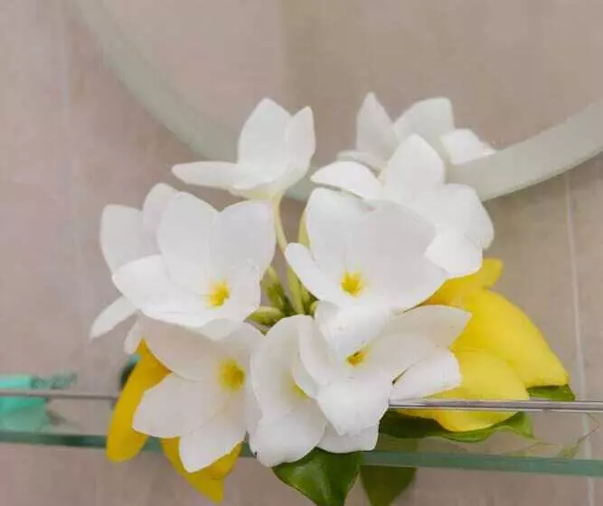 ペンション Le Manglier