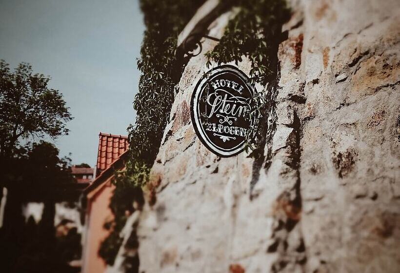 בית מלון כפרי Stein Elbogen