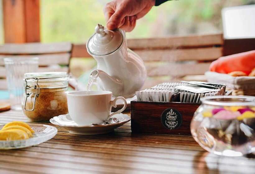 בית מלון כפרי Stein Elbogen