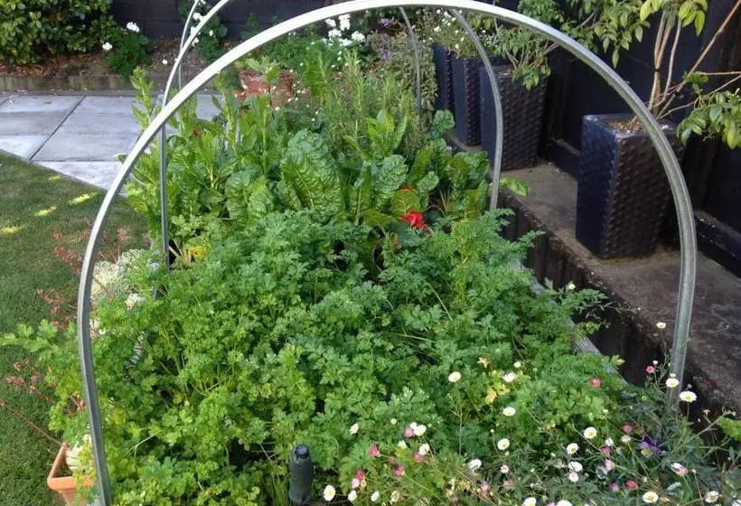 119 On Georges Bed And Breakfast