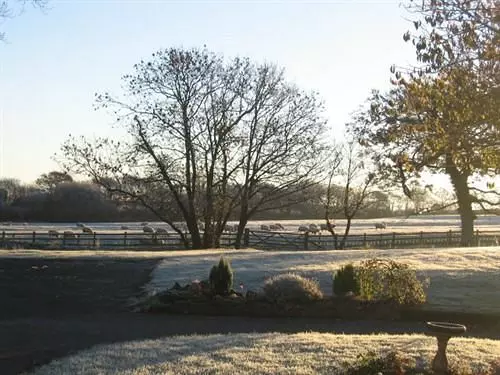 Отель East Hook Farm & Country House