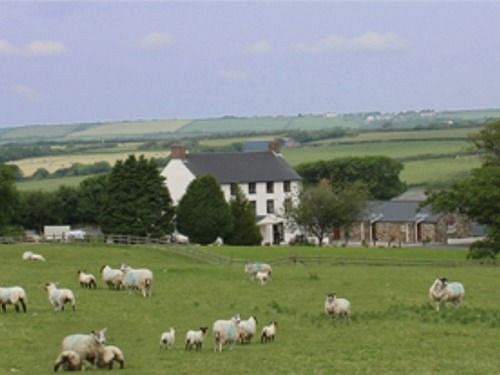 בית מלון כפרי East Hook Farm & Country House