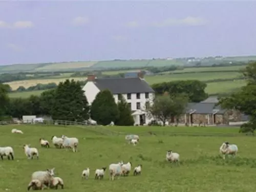 Отель East Hook Farm & Country House