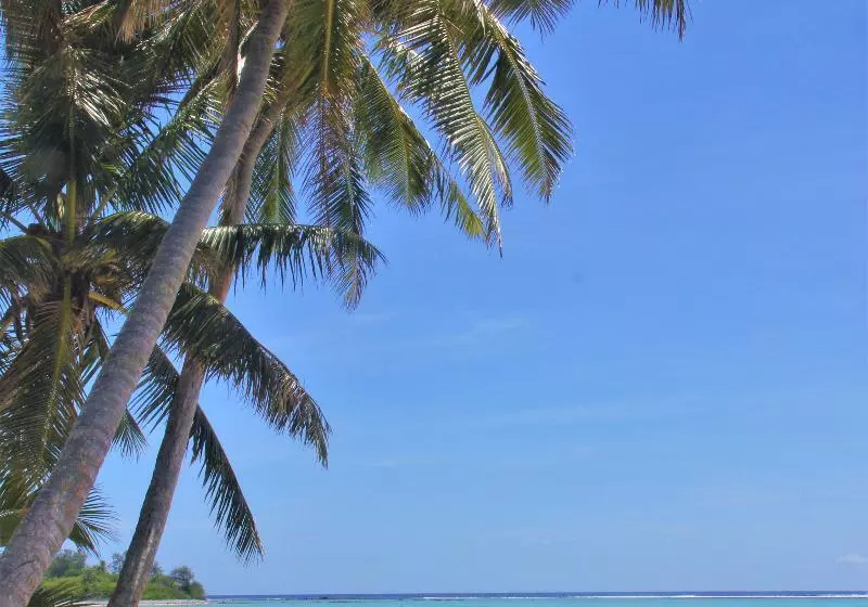 هتل Muri Beach Resort