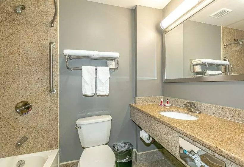 هتل Ozone Inn & Suites