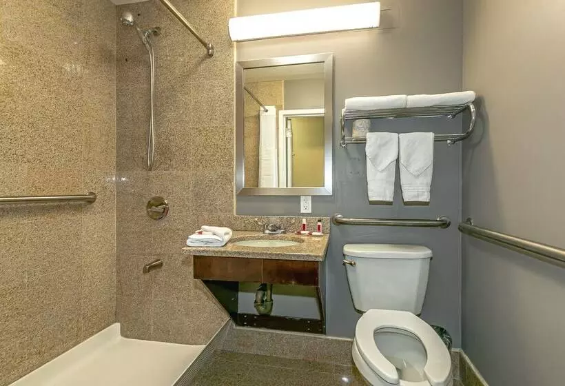 هتل Ozone Inn & Suites
