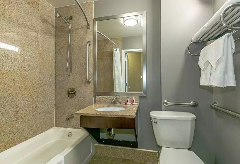 هتل Ozone Inn & Suites