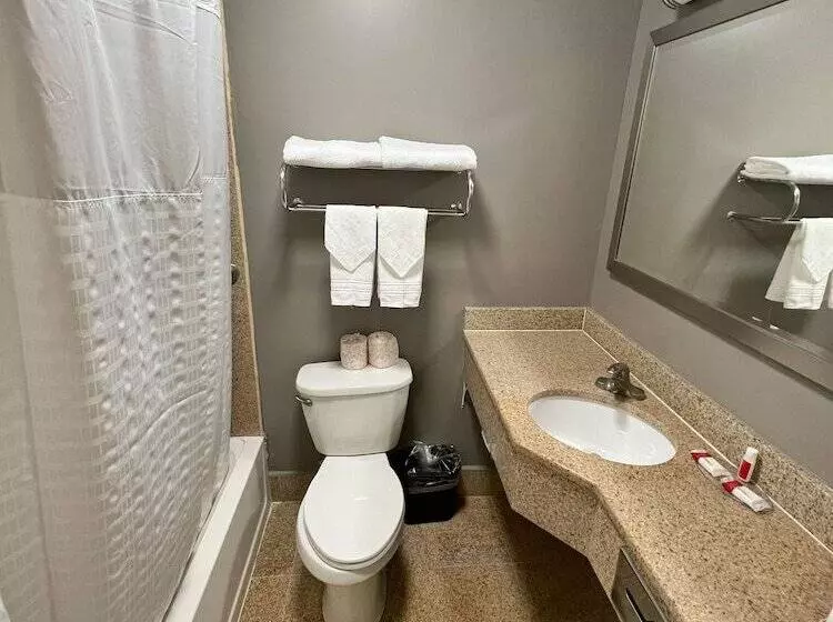 هتل Ozone Inn & Suites