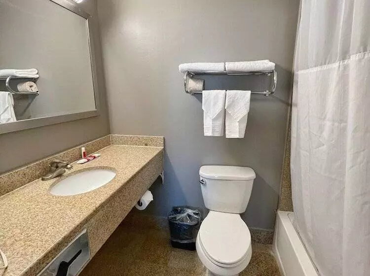 هتل Ozone Inn & Suites