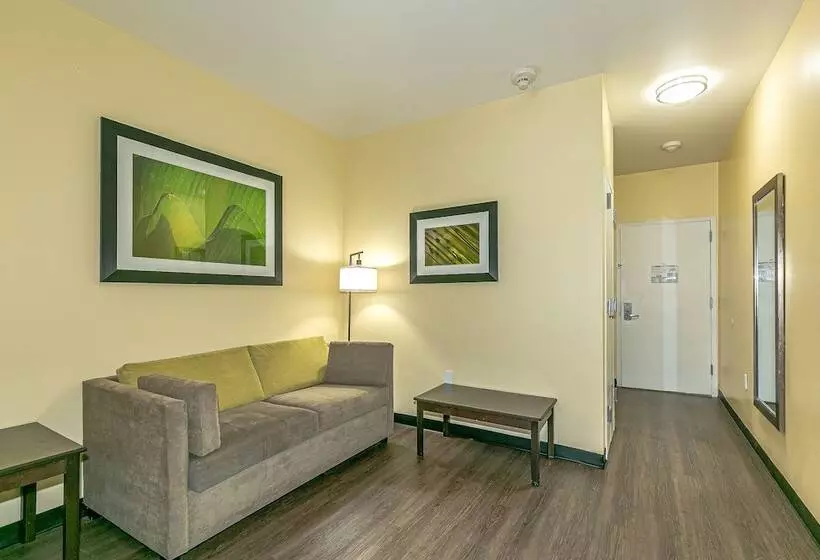 هتل Ozone Inn & Suites