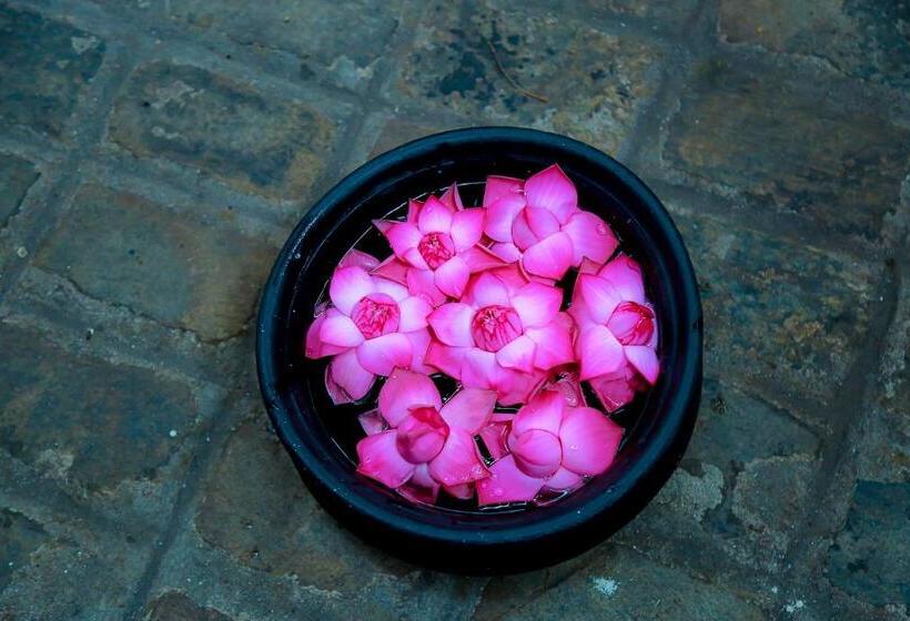 酒店 Rockwell Colombo