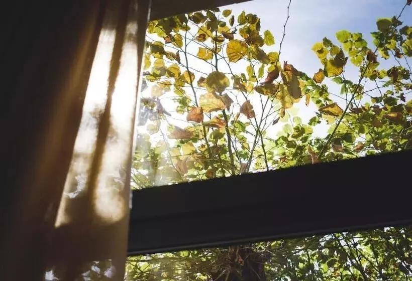 ホテル Casa El Rápido