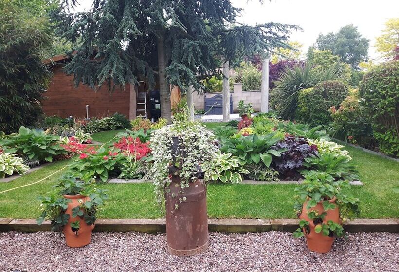 Cabin Set In A Beautiful Romantic Tropical Garden