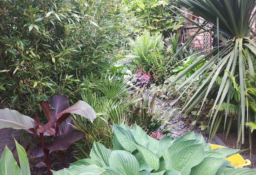 Cabin Set In A Beautiful Romantic Tropical Garden