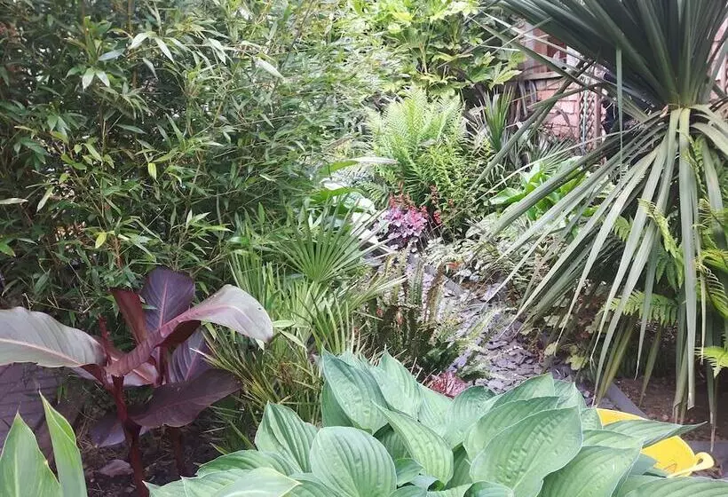 Cabin Set In A Beautiful Romantic Tropical Garden