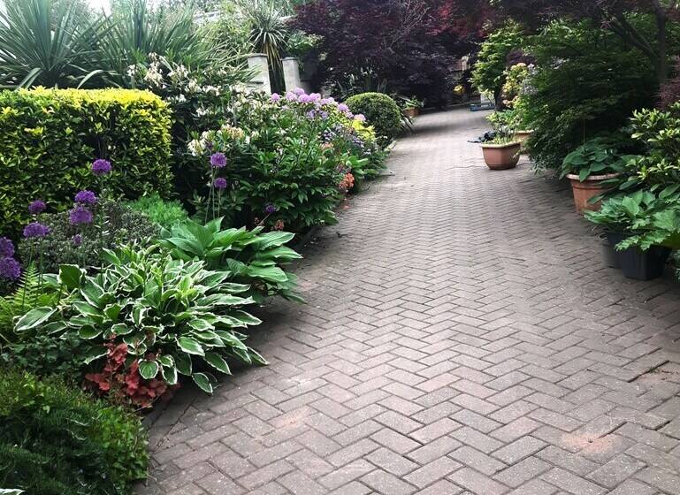 Cabin Set In A Beautiful Romantic Tropical Garden