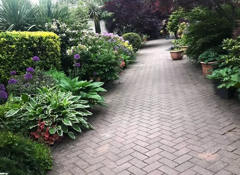 Cabin Set In A Beautiful Romantic Tropical Garden