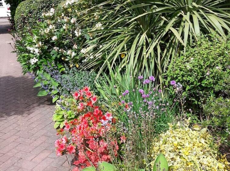 Cabin Set In A Beautiful Romantic Tropical Garden
