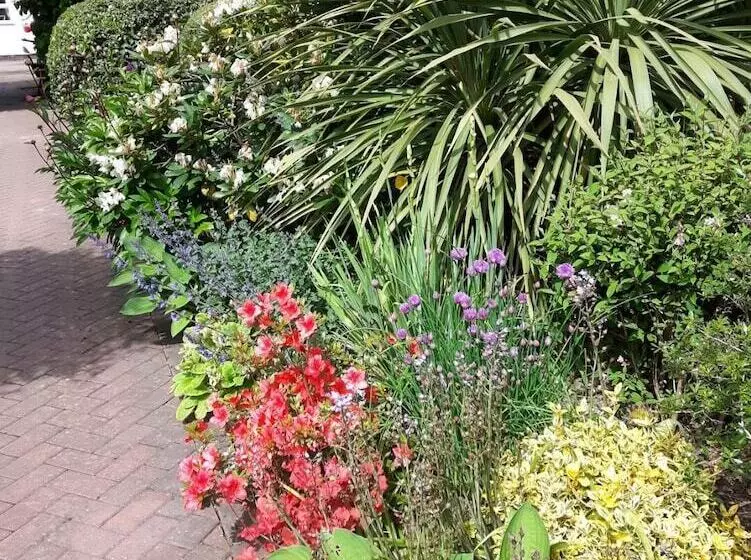Cabin Set In A Beautiful Romantic Tropical Garden