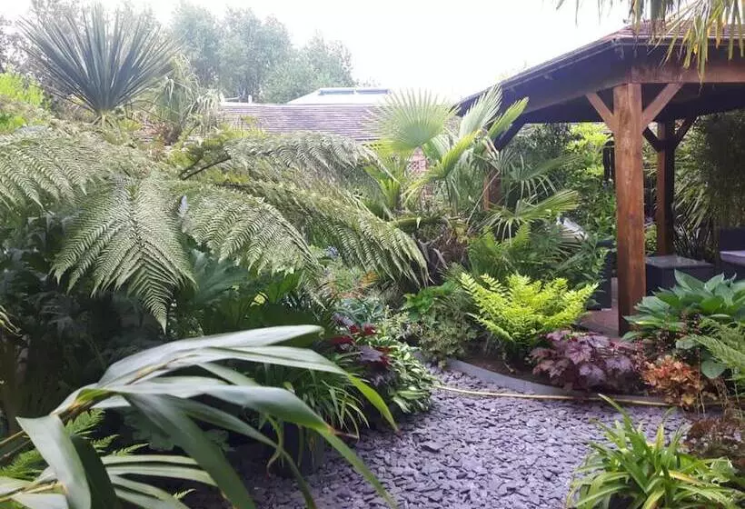 Cabin Set In A Beautiful Romantic Tropical Garden